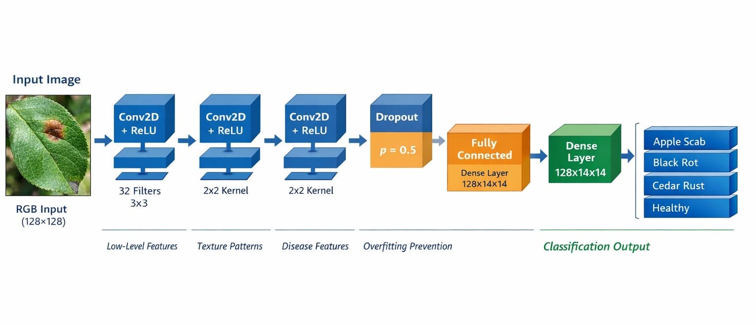 PlantNet architecture — 3 convolutional blocks into fully connected classifier